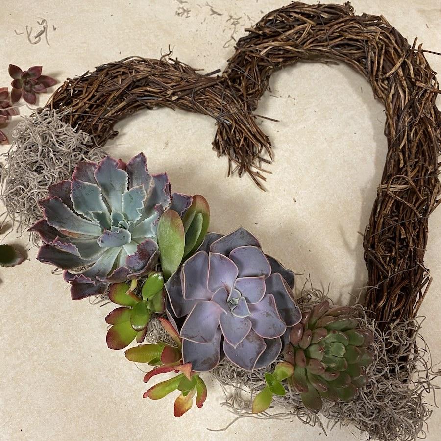 Succulent Wreath - Easy DIY Creation