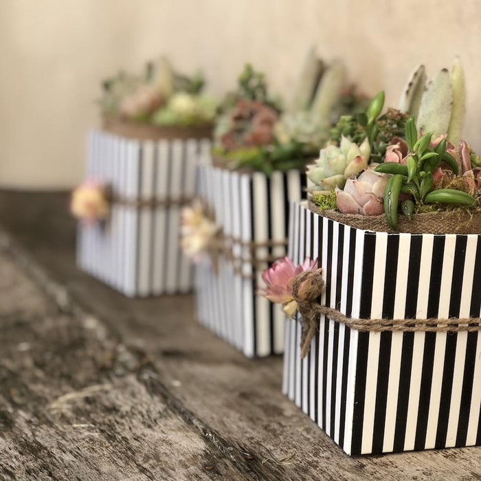succulent bridal shower Bridal Wedding Shower Succulents
